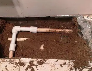 岳阳市测漏水哪家好