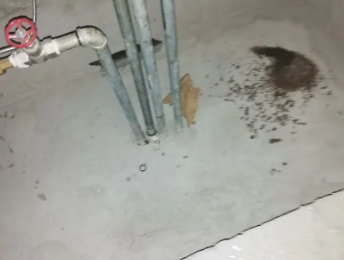 岳阳市卫生间测漏水价格明细