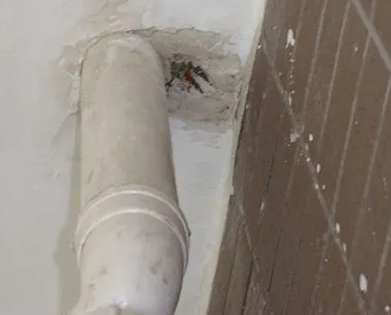 岳阳市漏水检测哪家好